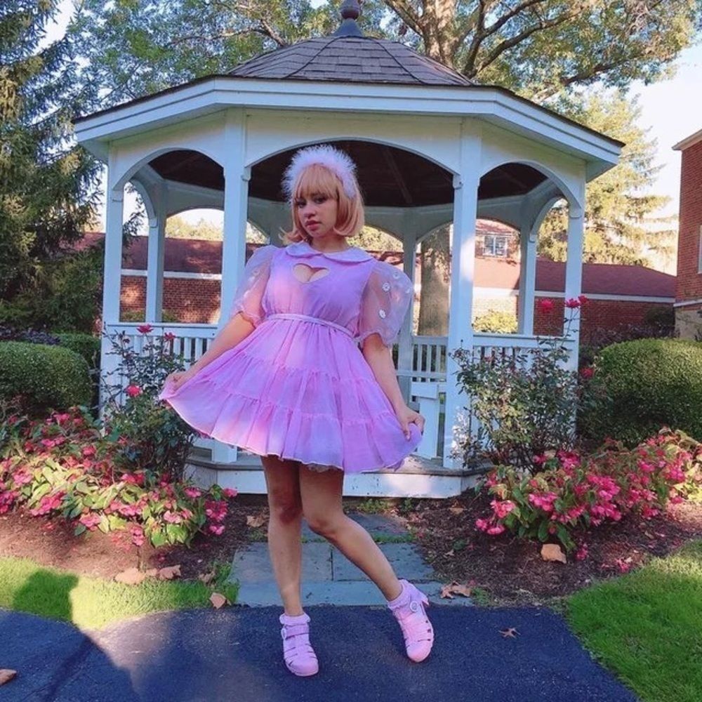 Miss Candyholic Lovely Lilac Smock Dress Ms Pink Daisy S/M Small Medium Pink
